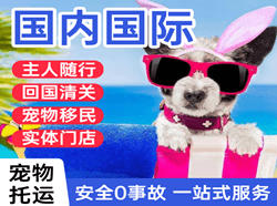 巴马机场快递国际宠物托运 【国